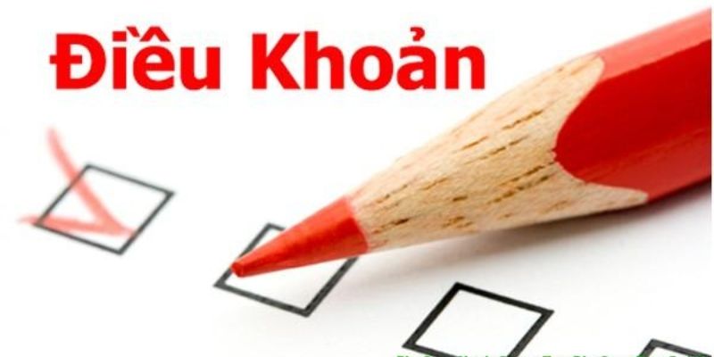 Lợi ích khi nắm bắt rõ điều khoản tại nền tảng