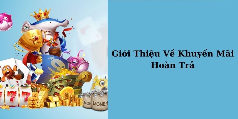 Chương trình khuyến mãi For88 hoàn cược mỗi ngày