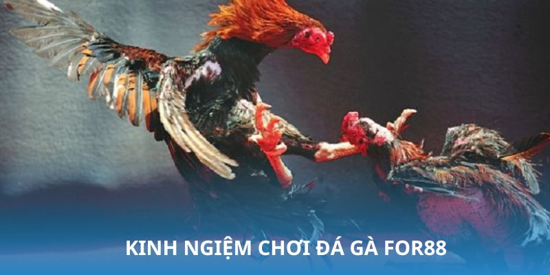 Bỏ túi những kinh nghiệm quý báu dành cho tay chơi