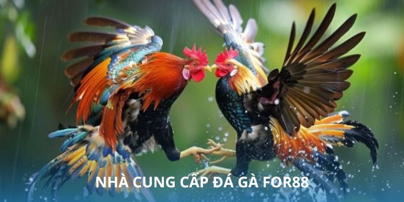 Tổng hợp các nhà cái uy tín bạn cần biết