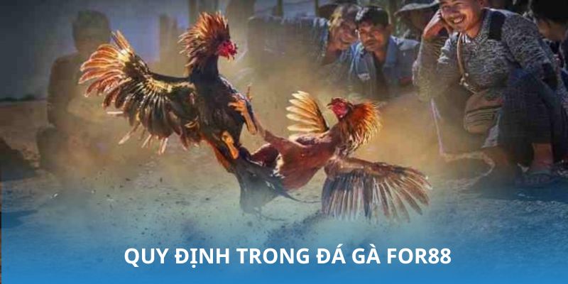 Các nguyên tắc bắt buộc dành cho người chơi