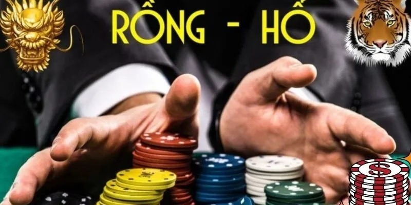 Rồng Hổ For88