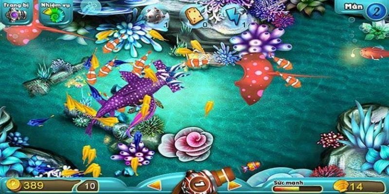 Cập nhật các công cụ đặc biệt trong game săn cá